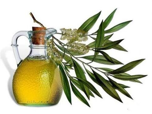 eucalyptus oil for papillomas